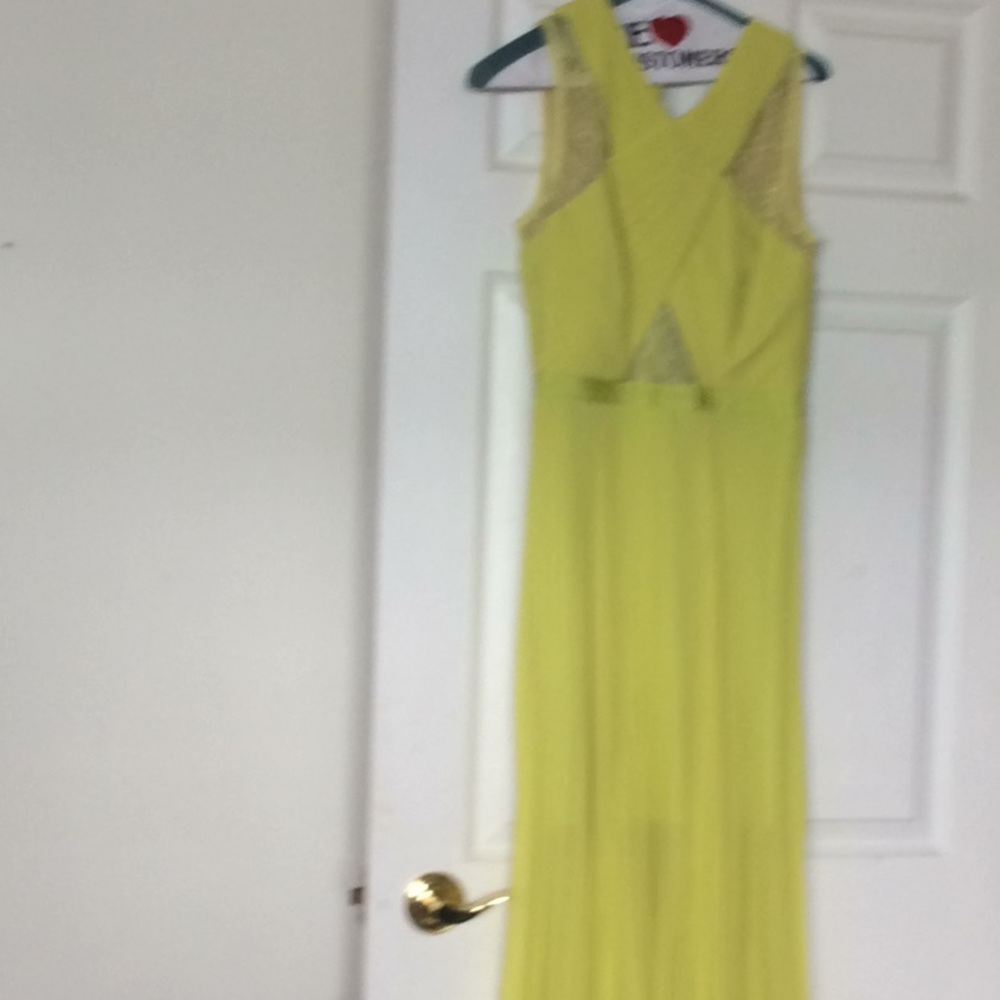 Pleated chiffon and lace gown